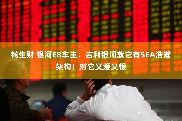 钱生财 银河E8车主：吉利银河就它有SEA浩瀚架构！对它又爱又恨