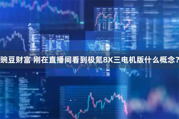 豌豆财富 刚在直播间看到极氪8X三电机版什么概念？