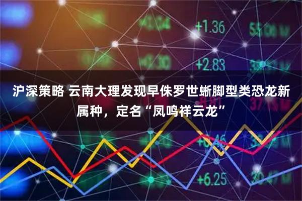 沪深策略 云南大理发现早侏罗世蜥脚型类恐龙新属种，定名“凤鸣祥云龙”
