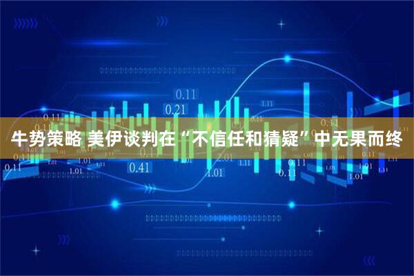 牛势策略 美伊谈判在“不信任和猜疑”中无果而终