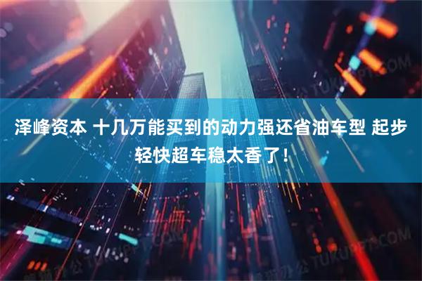 泽峰资本 十几万能买到的动力强还省油车型 起步轻快超车稳太香了！