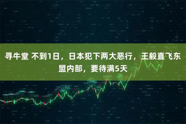 寻牛堂 不到1日，日本犯下两大恶行，王毅直飞东盟内部，要待满5天