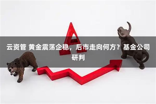 云资管 黄金震荡企稳，后市走向何方？基金公司研判