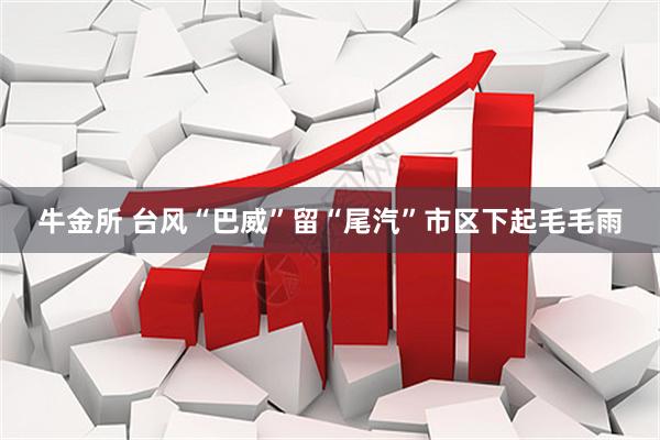 牛金所 台风“巴威”留“尾汽”市区下起毛毛雨