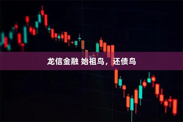 龙信金融 始祖鸟，还债鸟