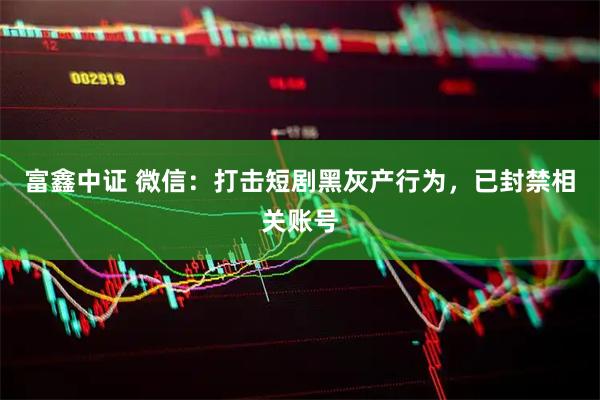 富鑫中证 微信：打击短剧黑灰产行为，已封禁相关账号