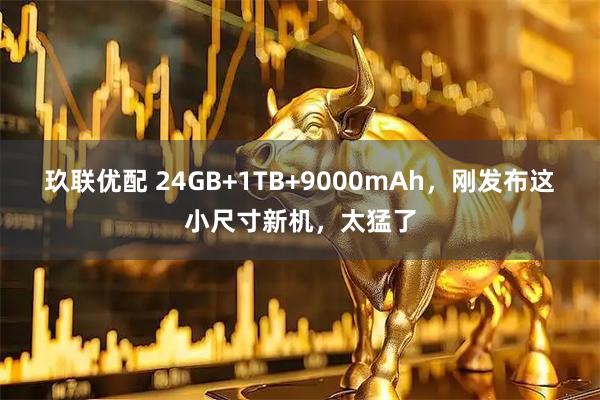 玖联优配 24GB+1TB+9000mAh，刚发布这小尺寸新机，太猛了