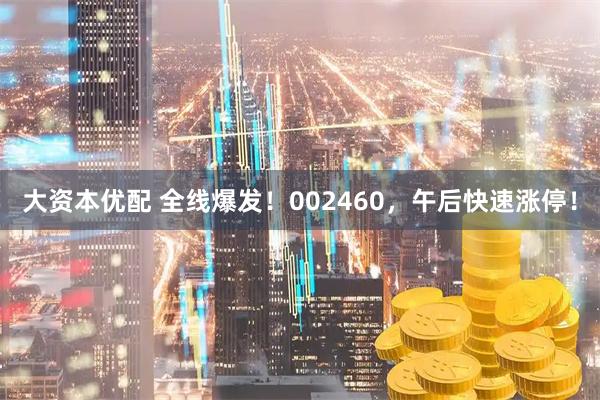 大资本优配 全线爆发！002460，午后快速涨停！