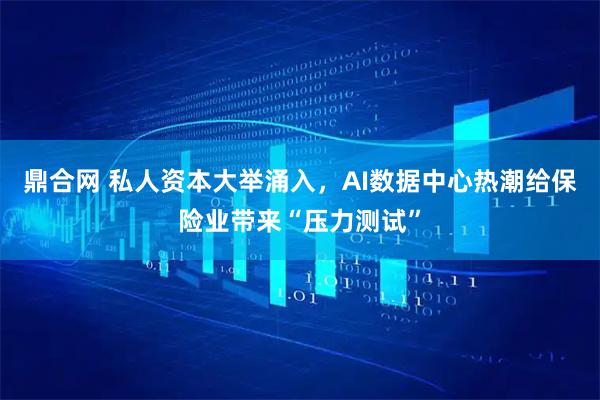 鼎合网 私人资本大举涌入，AI数据中心热潮给保险业带来“压力测试”