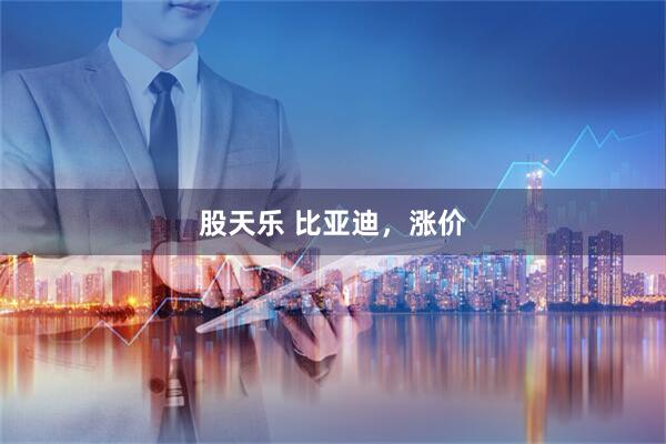 股天乐 比亚迪,涨价