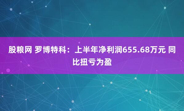 股粮网 罗博特科：上半年净利润655.68万元 同比扭亏为盈